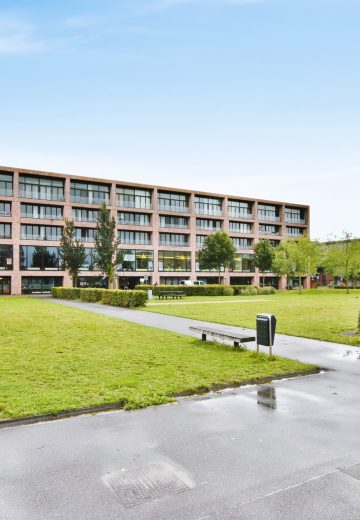 Education (School/University)